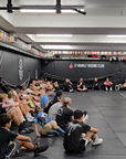 Pro Wall Mats 4cm
