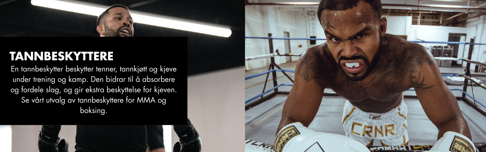 Tannbeskytter
