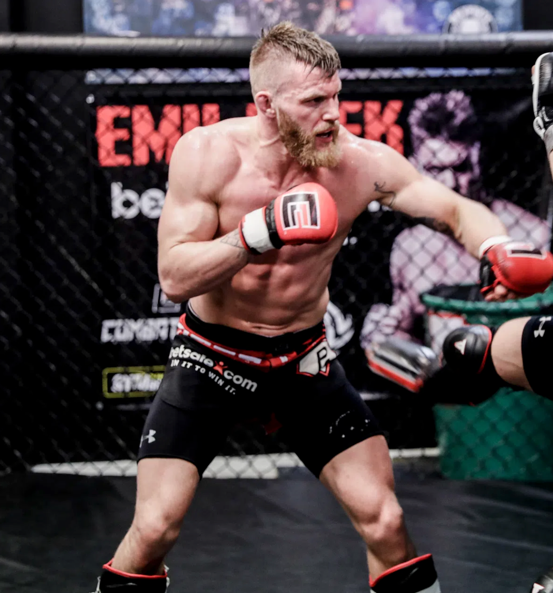 Elite MMA Treningshansker - Rød